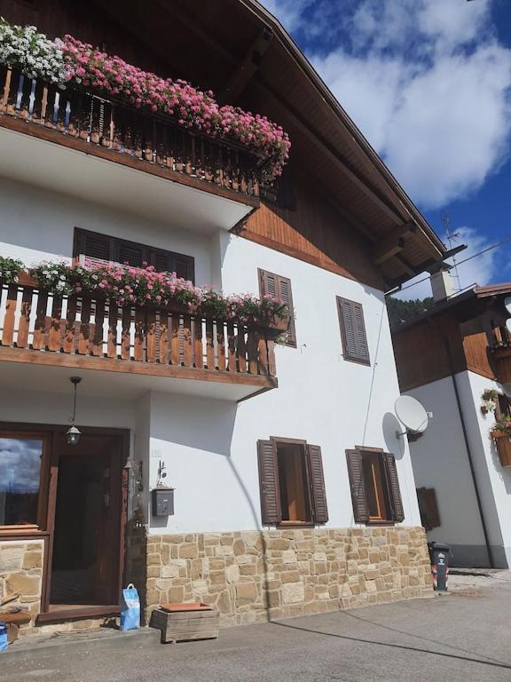 Casa Phoenix Appartamento Piano Terra Immerso Nel Verde A Pochi Minuti Dalla Ciclabile Pieve di Cadore Extérieur photo