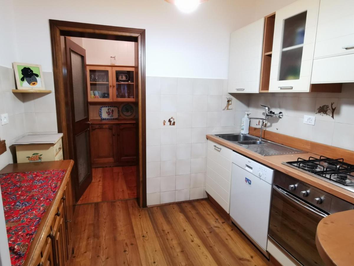 Casa Phoenix Appartamento Piano Terra Immerso Nel Verde A Pochi Minuti Dalla Ciclabile Pieve di Cadore Extérieur photo