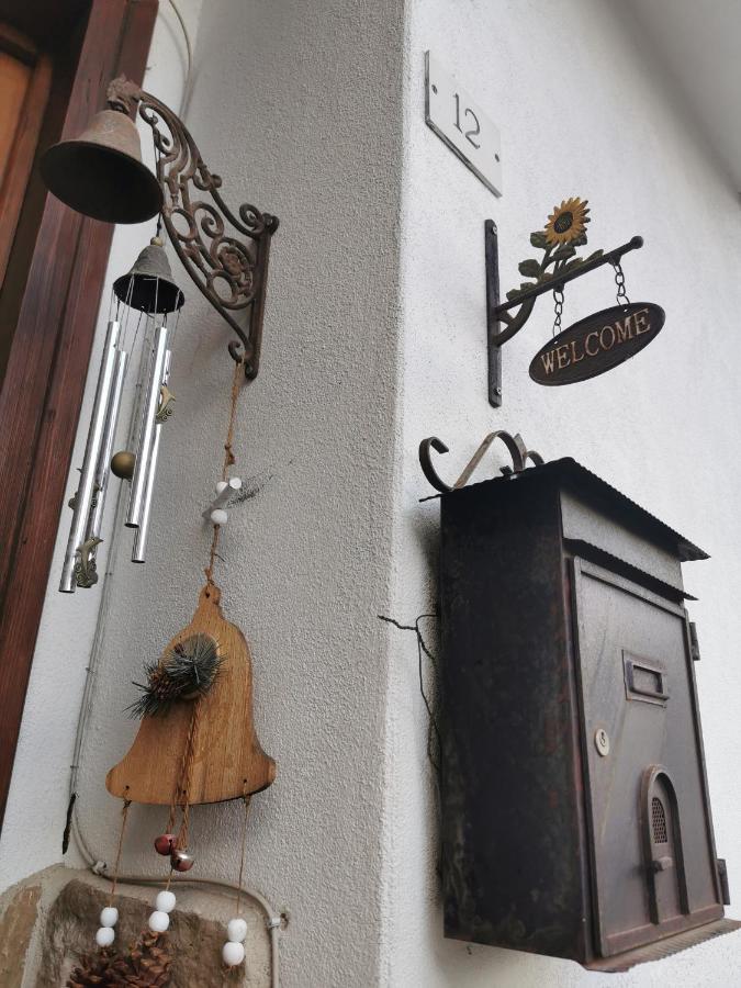 Casa Phoenix Appartamento Piano Terra Immerso Nel Verde A Pochi Minuti Dalla Ciclabile Pieve di Cadore Extérieur photo